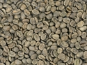 Picture of Tanzania Mbeya Mshikamano -  Washed - Green Beans